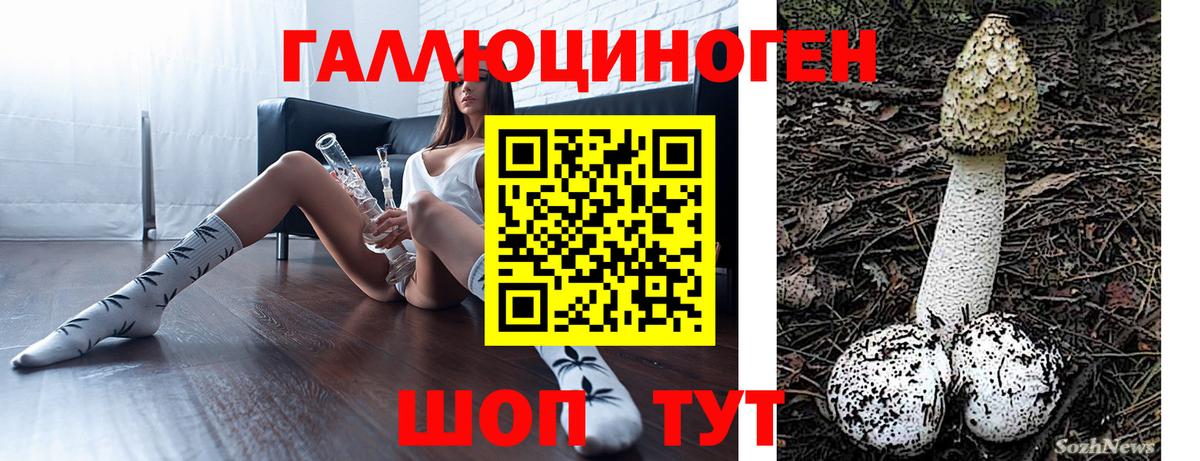 Лабинск  Галлюциногенные грибы MAGIC MUSHROOMS  Вход с VPN  Галлюциногенные грибы Cubensis 